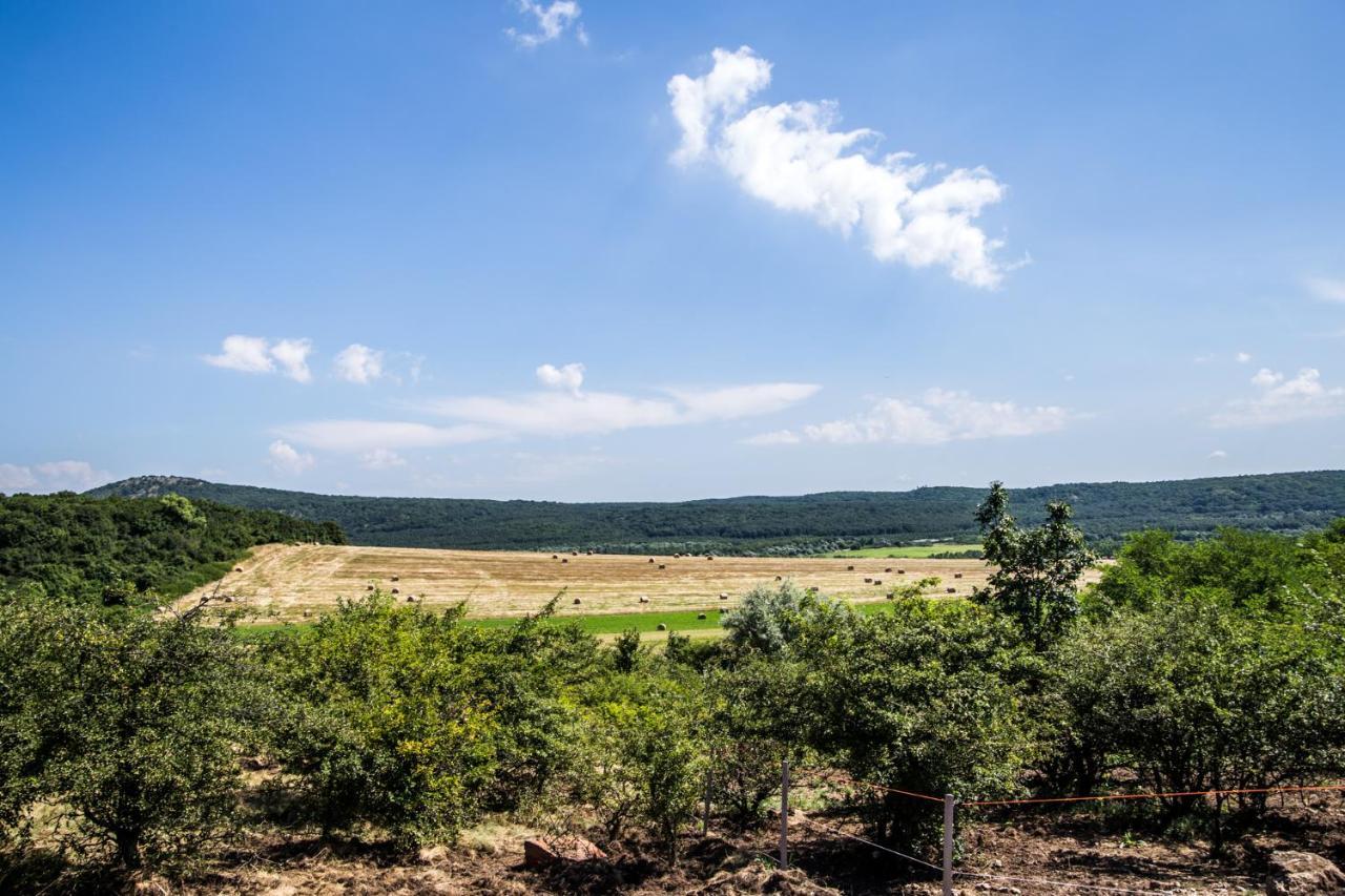 Oeregtoelgy Apartman Szár Esterno foto
